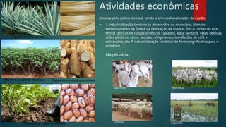 destaca pelo cultivo do sisal, sendo o principal explorador da região..
 A industrialização também se desenvolve no município, além de
beneficiamento da fibra e na fabricação de mantas, fios e cordas de sisal,
temos fabricas de cordas sintéticas, calçados, água sanitária, velas, bebidas,
redes plásticas, sacos, sacolas, refrigerantes, torrefações de café e
confecções, etc. A industrialização contribui de forma significativa para o
comércio.
Raízes de mandioca após colheita
Manihot esculenta (Maniva)
Phaseolus vulgaris (feijão)
Agave sisalana (sisal)
Atividades econômicas
ovinos
Na pecuária:
caprinos bovinos
equinos
 