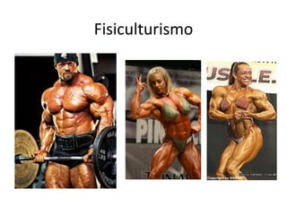 Fisiculturismo
 