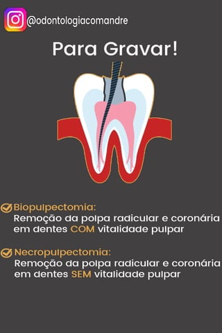 Conceito de Biopulpectomia e Necropulpectomia - Resumo - Concurso Odontologia.pdf