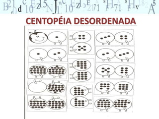 CENTOPÉIA DESORDENADA 
 