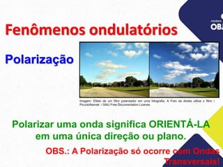 Fenômenos ondulatórios
Polarizar uma onda significa ORIENTÁ-LA
em uma única direção ou plano.
OBS.: A Polarização só ocorre com Ondas
Transversais!
Polarização
Imagem: Efeito de um filtro polarizador em uma fotografia. A Foto da direita utiliza o filtro /
PiccoloNamek / GNU Free Documentation License
 