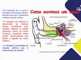 Como ouvimos um som?
• As moléculas do ar junto à
membrana do tímpano vibram,
fazendo com que a membrana
também comece a vibrar.
• A vibração do tímpano é
transmitida ao sistema
ósseo, constituído pelo
martelo, bigorna e estribo
(menores ossos do corpo
humano), passando pelos
canais semicirculares que
fazem a ligação ao nervo
auditivo.
• A vibração é convertida em
impulso elétrico que é
comunicado ao cérebro.
Imagem: Mike.lifeguard / GNU Free Documentation License
 