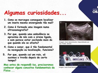Algumas curiosidades...
5. Por que, quando cai um raio, só
ouvimos o trovão depois de certo
tempo?
Mas antes de respondê-las, precisaremos
conhecer alguns conceitos fundamentais da
Física ...
2. Como é formada uma imagem numa
ultrassonografia?
1. Como os morcegos conseguem localizar
um inseto mesmo enxergando tão mal?
4. Como o sonar, que é tão fundamental
na navegação ou localização, funciona?
3. Por que, quando uma ambulância se
aproxima de nós com a sirene ligada,
o som parece estar oscilando mais do
que quando ela se afasta? Imagem: Autor desconhecido / disponibilizado por
Isis / Public domain.
Imagem: Autor Scott Sanchez / Public domain
 