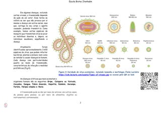 2
Escola Biotec Itanhaém
Em algumas doenças, incluindo
certas viroses, a transmissão depende
da ação de um vetor. Esse termo se
refere ao ser que não provoca por si
mesmo a doença em outros seres, mas
que, carrega no seu corpo o agente
causador, podendo transmiti-lo. Como
exemplo, temos certas espécies de
mosquito que transmitem vírus ao picar
os indivíduos doentes e, depois, os
indivíduos saudáveis, espalhando a
doença.
Atualmente foram
identificadas aproximadamente 3.600
espécies de vírus, que podem infectar
bactérias, plantas e animais, bem como
se instalar e causar doenças no homem.
Cada doença com particularidades
quanto ao modo de transmissão,
características da infecção e medidas
profiláticas (Fig.4).
As doenças viróticas que mais acometem o
organismo humano são as seguintes: Gripe, Catapora ou Varicela,
Caxumba, Dengue, Febre Amarela, Hepatite, Rubéola, Sarampo,
Varíola, Herpes simples e Raiva.
A transmissão pode se dar por meio de vetores; em outros casos,
de pessoa para pessoa; ou por meio de alimentos, objetos ou
instrumentais contaminados.
Figura 4-Varidade de vírus existentes, incluindo tamanho e morfologia-Fonte Lectúrio
https://cdn.lecturio.com/assets/Types-of-viruses.jpg ou acesse pelo QR ao lado
 