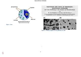 5
Escola Biotec Itanhaém
Figura 1-Vírus
Figura 2- Primeiras imagens de vírus publicada em 1938
,
 
