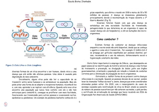 6
Escola Biotec Itanhaém
Há
diversas formas de um vírus encontrar o ser humano, dando início a uma
doença que até então não afetava pessoas. Uma delas é causada pela
degradação do meio ambiente.
Inicialmente, alguns vírus pode não ter a capacidade de se
transmitir entre seres humanos e se estabelecer na população. Mas ele
pode achar uma forma de se adaptar a receptores humanos, reconhecê-los
e, com isso, aprender a se replicar com eficiência. Quando este novo vírus
encontra uma população que nunca teve contato com ele e não tem
anticorpos para combatê-lo, consegue se proliferar com mais facilidade,
favorecendo sua transmissão para outras pessoas e ocasionando surtos,
epidemias ou pandemias. Um exemplo de pandemia bastante conhecido é a
gripe espanhola, que afetou o mundo em 1918 e matou de 30 a 50
milhões de pessoas. A doença se disseminou globalmente
principalmente devido à movimentação de tropas durante a 1ª
Guerra Mundial. (Fig. 5)
Diversos fatores fazem com que uma doença se
estabeleça em uma sociedade: facilidade de transmissão,
patogenicidade (o que determina se um organismo é capaz de
causar doença em um hospedeiro), e até as mutações dos micro-
organismos.
Como combater ?
Existem formas de combater as doenças infecciosas
enquanto a vacina ainda não está disponível, desde que se conheça
o agente e como ele é transmitido. Por exemplo O SARS-CoV-2
se propaga por gotículas espalhadas por pessoas doentes; por
isso, recomenda-se o uso de máscara, distanciamento social e
higienização constante das mãos.
Outro fator importante é o emprego da Ciência, que desempenha um
papel essencial na identificação da história natural da doença e das formas
de tratamento e prevenção, na divulgação de dados junto aos órgãos
governamentais, orientando a população em relação a tomada de condutas
corretas para a dimimuição da prpogação de micro-organismos.
Entretanto a melhor forma de se prevenir contra doenças
infecciosas é a vacinação. Quando as pessoas deixam de se vacinar, podem
levar às chamadas “falhas vacinais” e, assim, doenças que eram consideradas
eliminadas podem voltar. Em 2019, com o ressurgimento de casos de
sarampo causados pela reintrodução do vírus no Brasil, aliado ao aumento
do número de pessoas suscetíveis por não estarem vacinadas, o país perdeu
o certificado de erradicação do sarampo que havia recebido em 2016 da
Organização Pan Americana de Saúde (OPAS/OMS).
Figura 3-Ciclo Lítico e Ciclo Lisogênico
 