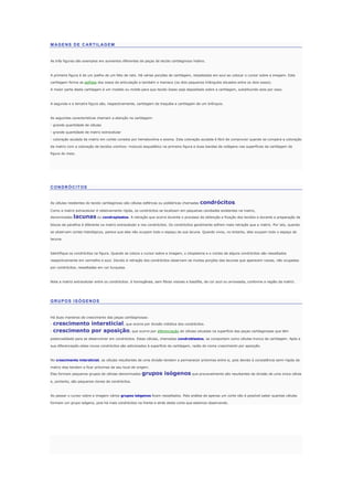 MAGENS DE CARTILAGEM
As três figuras são exemplos em aumentos diferentes de peças de tecido cartilaginoso hialino.
A primeira figura é de um joelho de um feto de rato. Há várias porções de cartilagem, ressaltadas em azul ao colocar o cursor sobre a imagem. Esta
cartilagem forma as epífises dos ossos da articulação e também o menisco (os dois pequenos triângulos situados entre os dois ossos).
A maior parte desta cartilagem é um modelo ou molde para que tecido ósseo seja depositado sobre a cartilagem, substituindo esta por osso.
A segunda e a terceira figura são, respectivamente, cartilagem da traquéia e cartilagem de um brônquio.
As seguintes características chamam a atenção na cartilagem:
- grande quantidade de células
- grande quantidade de matriz extracelular
- coloração azulada da matriz em cortes corados por hematoxilina e eosina. Esta coloração azulada é fácil de comprovar quando se compara a coloração
da matriz com a coloração de tecidos vizinhos: músculo esquelético na primeira figura e duas bandas de colágeno nas superfícies da cartilagem da
figura do meio.
CONDRÓCITOS
As células residentes do tecido cartilaginoso são células esféricas ou poliédricas chamadas condrócitos.
Como a matriz extracelular é relativamente rígida, os condrócitos se localizam em pequenas cavidades existentes na matriz,
denominadas lacunas ou condroplastos. A retração que ocorre durante o processo de obtenção e fixação dos tecidos e durante a preparação de
blocos de parafina é diferente na matriz extracelular e nos condrócitos. Os condrócitos geralmente sofrem mais retração que a matriz. Por isto, quando
se observam cortes histológicos, parece que eles não ocupam todo o espaço da sua lacuna. Quando vivos, no entanto, eles ocupam todo o espaço da
lacuna.
Identifique os condrócitos na figura. Quando se coloca o cursor sobre a imagem, o citoplasma e o núcleo de alguns condrócitos são ressaltados
respectivamente em vermelho e azul. Devido à retração dos condrócitos observam-se muitas porções das lacunas que aparecem vazias, não ocupadas
por condrócitos, ressaltadas em cor turquesa.
Note a matriz extracelular entre os condrócitos: é homogênea, sem fibras visíveis e basófila, de cor azul ou arroxeada, conforme a região da matriz.
GRUPOS ISÓGENOS
Há duas maneiras de crescimento das peças cartilaginosas:
- crescimento intersticial, que ocorre por divisão mitótica dos condrócitos.
- crescimento por aposição, que ocorre por diferenciação de células situadas na superfície das peças cartilaginosas que têm
potencialidade para se desenvolver em condrócitos. Estas células, chamadas condroblastos, se comportam como células-tronco de cartilagem. Após a
sua diferenciação estes novos condrócitos são adicionados à superfície da cartilagem, razão do nome crescimento por aposição.
No crescimento intersticial, as células resultantes de uma divisão tendem a permanecer próximas entre si, pois devido à consistência semi-rígida da
matriz elas tendem a ficar próximas de seu local de origem.
Elas formam pequenos grupos de células denominados grupos isógenos que provavelmente são resultantes da divisão de uma única célula
e, portanto, são pequenos clones de condrócitos.
Ao passar o cursor sobre a imagem vários grupos isógenos ficam ressaltados. Pela análise de apenas um corte não é possível saber quantas células
formam um grupo isógeno, pois há mais condrócitos na frente e atrás deste corte que estamos observando.
 