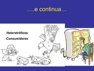 ….e continua…


Heterotróficos
Consumidores
 