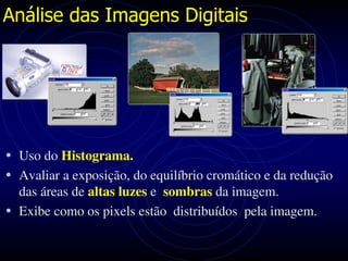 Análise das Imagens Digitais




• Uso do Histograma.
• Avaliar a exposição, do equilíbrio cromático e da redução
  das áreas de altas luzes e sombras da imagem.
• Exibe como os pixels estão distribuídos pela imagem.
 