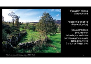 Paisagem agrária
transmontana
Paisagem planáltica
(Meseta Ibérica)
Fraca densidade
populacional
Limite da propriedades
marcados por muros de
pedra ou árvores
Contornos irregulares

http://antoniocasteleiro.blogs.sapo.pt/69934.html

10

 