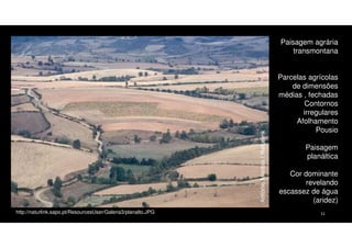 Paisagem agrária
transmontana
Parcelas agrícolas
de dimensões
médias , fechadas
Contornos
irregulares
Afolhamento
Pousio
Paisagem
planáltica
Cor dominante
revelando
escassez de água
(aridez)
http://naturlink.sapo.pt/ResourcesUser/Galeria3/planalto.JPG

11

 