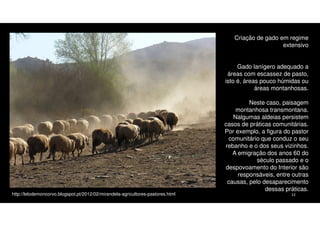 Criação de gado em regime
extensivo
Gado lanígero adequado a
áreas com escassez de pasto,
isto é, áreas pouco húmidas ou
áreas montanhosas.

http://lelodemoncorvo.blogspot.pt/2012/02/mirandela-agricultores-pastores.html

Neste caso, paisagem
montanhosa transmontana.
Nalgumas aldeias persistem
casos de práticas comunitárias.
Por exemplo, a figura do pastor
comunitário que conduz o seu
rebanho e o dos seus vizinhos.
A emigração dos anos 60 do
século passado e o
despovoamento do Interior são
responsáveis, entre outras
causas, pelo desaparecimento
dessas práticas.
12

 