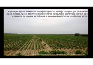 Exploração agrícola moderna na sub-região agrária do Ribatejo, uma produção vocacionada
para o mercado. Apesar das dimensões latifundiárias os resultados económicos apontam para
um exemplo de empresa agrícola onde a preocupação pelo lucro é um objetivo a atingir.

http://fazerporsalvaterra.blogspot.pt/2013/04/de-salvaterra-ao-escaroupim-olhando-o.html
21

 