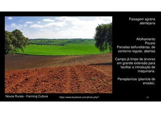 Paisagem agrária
alentejana

Afolhamento
Pousio
Parcelas latifundiárias, de
contorno regular, abertas
Campo já limpo de árvores
em grande extensão para
facilitar a introdução de
maquinaria.
Peneplanície (planície de
erosão).

Novos Rurais - Farming Culture

https://www.facebook.com/photo.php?

22

 