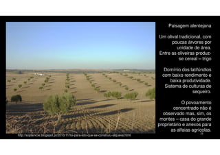 Paisagem alentejana
Um olival tradicional, com
poucas árvores por
unidade de área.
Entre as oliveiras produzse cereal – trigo
Domínio dos latifúndios
com baixo rendimento e
baixa produtividade.
Sistema de culturas de
sequeiro.
O povoamento
concentrado não é
observado mas, sim, os
montes – casa do grande
proprietário e anexos para
as alfaias agrícolas.
http://soplanicie.blogspot.pt/2010/11/foi-para-isto-que-se-construiu-alqueva.html

23

 