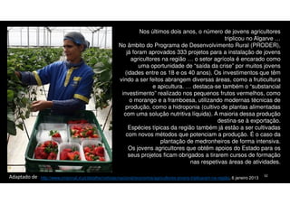 Nos últimos dois anos, o número de jovens agricultores
triplicou no Algarve …
No âmbito do Programa de Desenvolvimento Rural (PRODER),
já foram aprovados 333 projetos para a instalação de jovens
agricultores na região … o setor agrícola é encarado como
uma oportunidade de “saída da crise” por muitos jovens
(idades entre os 18 e os 40 anos). Os investimentos que têm
vindo a ser feitos abrangem diversas áreas, como a fruticultura
e apicultura. … destaca-se também o “substancial
investimento” realizado nos pequenos frutos vermelhos, como
o morango e a framboesa, utilizando modernas técnicas de
produção, como a hidroponia (cultivo de plantas alimentadas
com uma solução nutritiva líquida). A maioria dessa produção
destina-se à exportação.
Espécies típicas da região também já estão a ser cultivadas
com novos métodos que potenciam a produção. É o caso da
plantação de medronheiros de forma intensiva.
Os jovens agricultores que obtêm apoios do Estado para os
seus projetos ficam obrigados a tirarem cursos de formação
nas respetivas áreas de atividades.
Adaptado de

http://www.cmjornal.xl.pt/detalhe/noticias/nacional/economia/agricultores-jovens-triplicaram-na-região, 6 janeiro 2013

32

 