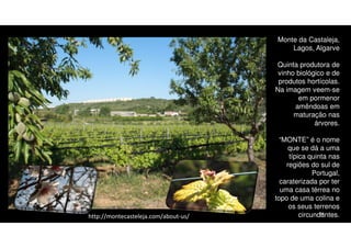 Monte da Castaleja,
Lagos, Algarve
Quinta produtora de
vinho biológico e de
produtos hortícolas.
Na imagem veem-se
em pormenor
amêndoas em
maturação nas
árvores.

http://montecasteleja.com/about-us/

“MONTE” é o nome
que se dá a uma
típica quinta nas
regiões do sul de
Portugal,
caraterizada por ter
uma casa térrea no
topo de uma colina e
os seus terrenos
34
circundantes.

 