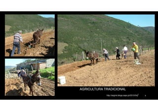 AGRICULTURA TRADICIONAL
http://segirei.blogs.sapo.pt/2010/04/

4

 