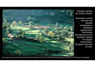Paisagem agrária
de campo fechado:
Associada a climas
amenos e de
elevada
precipitação e
densidade
populacional.
Minifúndios
fechados por muros
de pedra, habitual
em regiões
montanhosas.
Ocupação intensiva
do solo.

http://naturlink.sapo.pt/ResourcesUser/GaleriaFauna/Altera%C3%A7%C3%B5es%20da%20paisagem%20de%20uma%20Regi%C3%A3o3.jpg
8

 