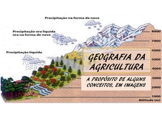 GEOGRAFIA DA
AGRICULTURA
A PROPÓSITO DE ALGUNS
CONCEITOS, EM IMAGENS
1

 