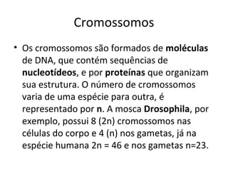 Cromossomos
• Os cromossomos são formados de moléculas
de DNA, que contém sequências de
nucleotídeos, e por proteínas que organizam
sua estrutura. O número de cromossomos
varia de uma espécie para outra, é
representado por n. A mosca Drosophila, por
exemplo, possui 8 (2n) cromossomos nas
células do corpo e 4 (n) nos gametas, já na
espécie humana 2n = 46 e nos gametas n=23.
 