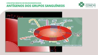 CONCEITOS BÁSICOS EM IMUNOHEMATOLOGIA
ANTÍGENOS DOS GRUPOS SANGUÍNEOS
 
