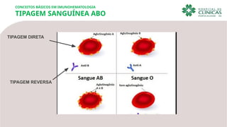 CONCEITOS BÁSICOS EM IMUNOHEMATOLOGIA
TIPAGEM SANGUÍNEA ABO
TIPAGEM DIRETA
TIPAGEM REVERSA
 