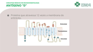 ● Proteína que atravessa 12 vezes a membrana do
eritrócito.
CONCEITOS BÁSICOS EM IMUNOHEMATOLOGIA
ANTÍGENO “D”
 