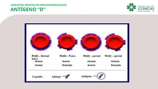 CONCEITOS BÁSICOS EM IMUNOHEMATOLOGIA
ANTÍGENO “D”
 