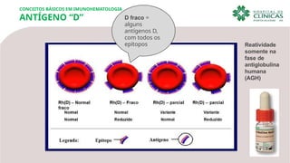 CONCEITOS BÁSICOS EM IMUNOHEMATOLOGIA
ANTÍGENO “D” D fraco =
alguns
antígenos D,
com todos os
epítopos Reatividade
somente na
fase de
antiglobulina
humana
(AGH)
 