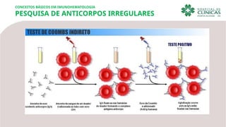 CONCEITOS BÁSICOS EM IMUNOHEMATOLOGIA
PESQUISA DE ANTICORPOS IRREGULARES
 