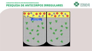 CONCEITOS BÁSICOS EM IMUNOHEMATOLOGIA
PESQUISA DE ANTICORPOS IRREGULARES
 