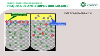 CONCEITOS BÁSICOS EM IMUNOHEMATOLOGIA
PESQUISA DE ANTICORPOS IRREGULARES
FASE DE INCUBAÇÃO A 37°C
 
