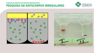 CONCEITOS BÁSICOS EM IMUNOHEMATOLOGIA
PESQUISA DE ANTICORPOS IRREGULARES
 