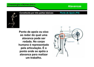 Cinesiologia e BiomecânicaCinesiologia e Biomecânica
Alavancas
Constituída por três partes básicas: Ponto de Apoio (PA)
Ponto de apoio ou eixo
ao redor do qual uma
alavanca pode ser
rodada. No corpo
humano é representado
pela articulação. É o
ponto onde se apóia a
alavanca para realizar
um trabalho.
 