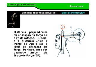 Cinesiologia e BiomecânicaCinesiologia e Biomecânica
Alavancas
Elementos adicionais da alavanca: Braço de Potência (BP)
Distância perpendicular
da aplicação da força ao
eixo de rotação. Ou seja,
é a distancia entre o
Ponto de Apoio até o
local de aplicação da
força. Por isso, pode ser
chamado também de
Braço de Força (BF).
 