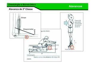 Cinesiologia e BiomecânicaCinesiologia e Biomecânica
Alavancas
Alavanca de 2º Classe
P
PA
R
Bíceps
Braquiorradial
 