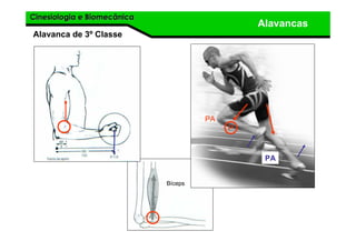 Cinesiologia e BiomecânicaCinesiologia e Biomecânica
Alavancas
Alavanca de 3º Classe
Bíceps
P
PA
PA
 