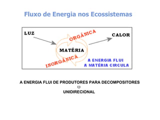 Fluxo de Energia nos Ecossistemas




 A   ENERGIA FLUI DE PRODUTORES PARA DECOMPOSITORES
                            
                      UNIDIRECIONAL
 