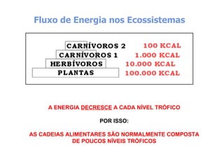 Fluxo de Energia nos Ecossistemas




                         
     A ENERGIA DECRESCE A CADA NÍVEL TRÓFICO

                    POR ISSO:

AS CADEIAS ALIMENTARES SÃO NORMALMENTE COMPOSTA
             DE POUCOS NÍVEIS TRÓFICOS
 