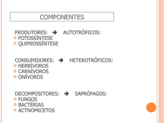 COMPONENTES

PRODUTORES: AUTOTRÓFICOS:
 FOTOSSÍNTESE
 QUIMIOSSÍNTESE



CONSUMIDORES: HETEROTRÓFICOS:
 HERBÍVOROS
 CARNÍVOROS
 ONÍVOROS



DECOMPOSITORES: SAPRÓFAGOS:
 FUNGOS
 BACTÉRIAS
 ACTNOMICETOS
 