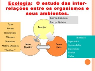 Ecologia: O estudo das inter-
   relações entre os organismos e
          seus ambientes.
                                        Energia Luminosa
                                        Energia Química
     Água
                              Energia
    Rochas
  Itemperismo
   Minerais                                                          Biomassa
   Nutrientes                                              Populações
                    Meio                     Seres         Comunidades
Matéria Organica
                   Abiótico                  vivos
                                                           Biocenoses
  “Resíduos”
                                                           Habitat
                                                           Nicho
 