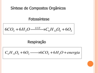 Síntese de Compostos Orgânicos

             Fotossíntese

6CO2 + 6 H 2O LUZ C6 H 12O6 + 6O2
               →
                


            Respiração

C6 H 12O6 + 6O2  →6CO2 + 6 H 2O + energia
                
 