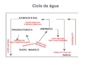 Ciclo da água
 