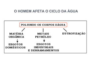 O HOMEM AFETA O CICLO DA ÁGUA
 