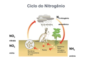 Ciclo do Nitrogênio

                        N2 nitrogênio

                          atmosférico




NO3
nitrato

NO2
                                        NH3
nitrito
                                        amônia
 