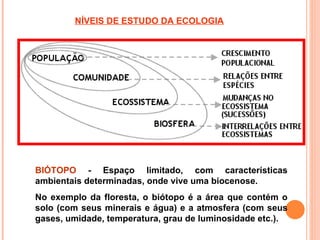 NÍVEIS DE ESTUDO DA ECOLOGIA




BIÓTOPO - Espaço limitado, com características
ambientais determinadas, onde vive uma biocenose.
No exemplo da floresta, o biótopo é a área que contém o
solo (com seus minerais e água) e a atmosfera (com seus
gases, umidade, temperatura, grau de luminosidade etc.).
 