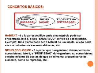 CONCEITOS BÁSICOS:




HABITAT - é o lugar específico onde uma espécie pode ser
encontrada, isto é, o seu "ENDEREÇO" dentro do ecossistema.
Exemplo: Uma planta pode ser o habitat de um inseto, o leão pode
ser encontrado nas savanas africanas, etc.
NICHO ECOLÓGICO - é o papel que o organismo desempenha no
ecossistema, isto é, a "PROFISSÃO" do organismo no ecossistema.
0 nicho informa às custas de que se alimenta, a quem serve de
alimento, como se reproduz, etc.
 