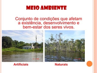 Meio Ambiente
 Conjunto de condições que afetam
  a existência, desenvolvimento e
     bem-estar dos seres vivos.




Artificiais        Naturais
 