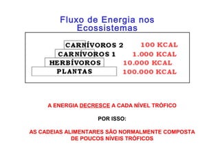 Fluxo de Energia nos
            Ecossistemas




                          
     A ENERGIA DECRESCE A CADA NÍVEL TRÓFICO

                    POR ISSO:

AS CADEIAS ALIMENTARES SÃO NORMALMENTE COMPOSTA
             DE POUCOS NÍVEIS TRÓFICOS
 